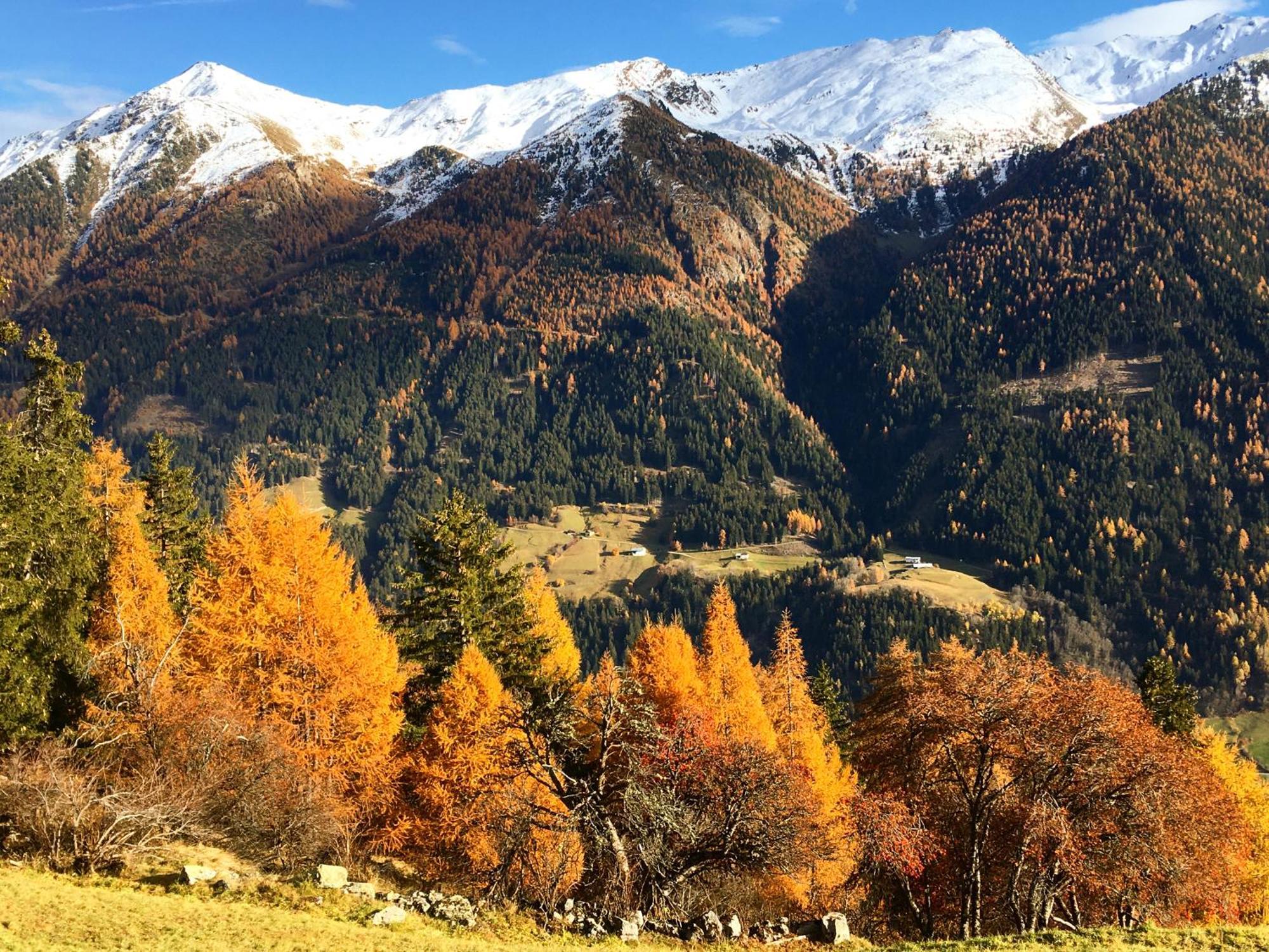 Bed and Breakfast Chasa Jaro Santa Maria Val Müstair Esterno foto